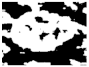 Diagnostics 11 01366 i110