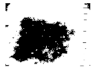 Diagnostics 11 01366 i119