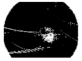 Diagnostics 11 01366 i167