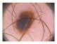 Diagnostics 11 01366 i169