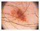 Diagnostics 11 01366 i193