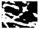 Diagnostics 11 01366 i198