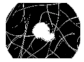 Diagnostics 11 01366 i215
