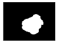 Diagnostics 11 01366 i219
