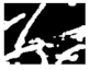 Diagnostics 11 01366 i222