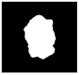 Diagnostics 11 01366 i260