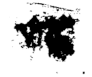 Diagnostics 11 01366 i287