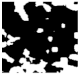 Diagnostics 11 01366 i294