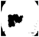 Diagnostics 11 01366 i303