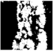 Diagnostics 11 01366 i311