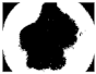 Diagnostics 11 01366 i351