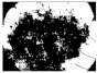 Diagnostics 11 01366 i383