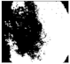 Diagnostics 11 01366 i455