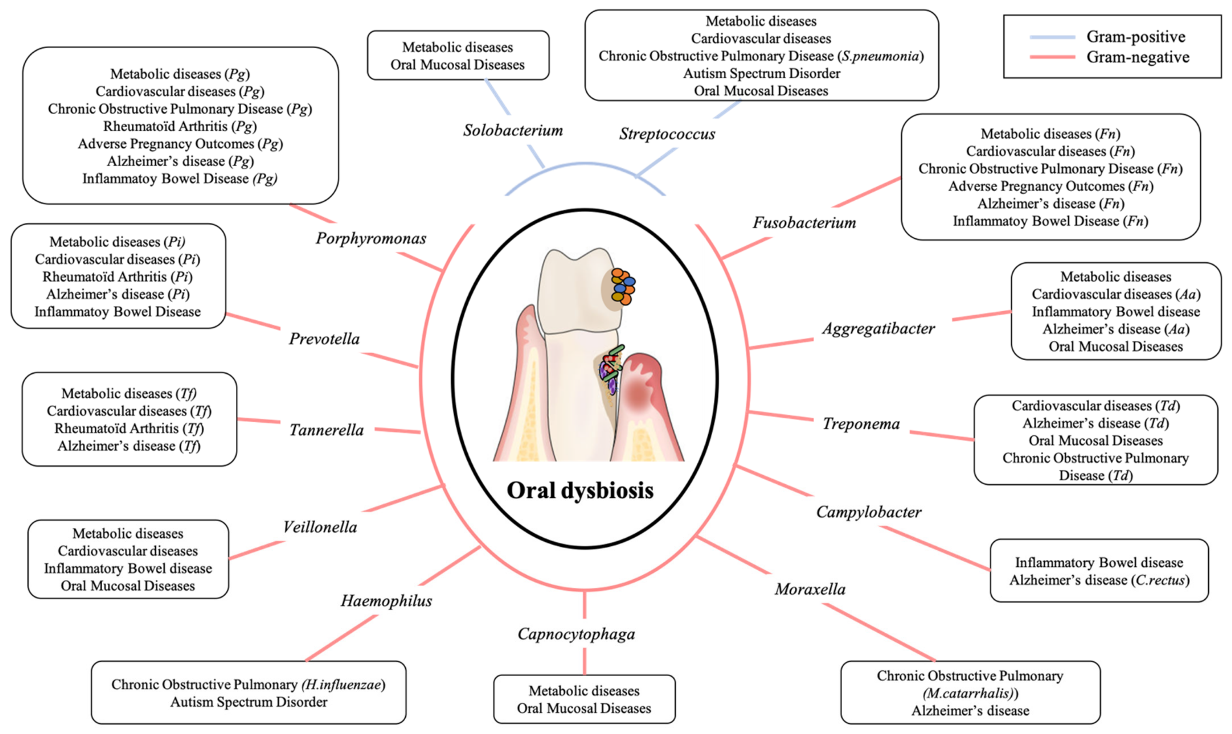 Diagnostics Free Full Text Oral Microbiota A Major Player In The Diagnosis Of Systemic Diseases Html