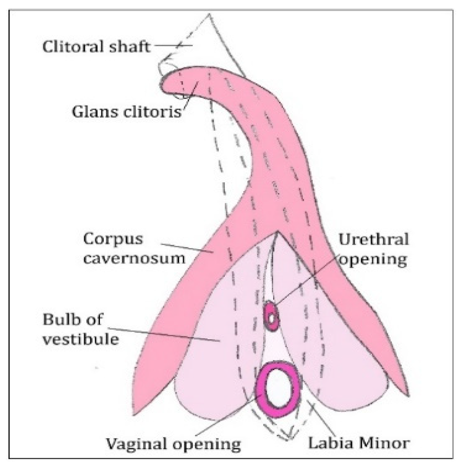 Diagnostics 11 01379 g004 Diagnostics 11 01379 g004