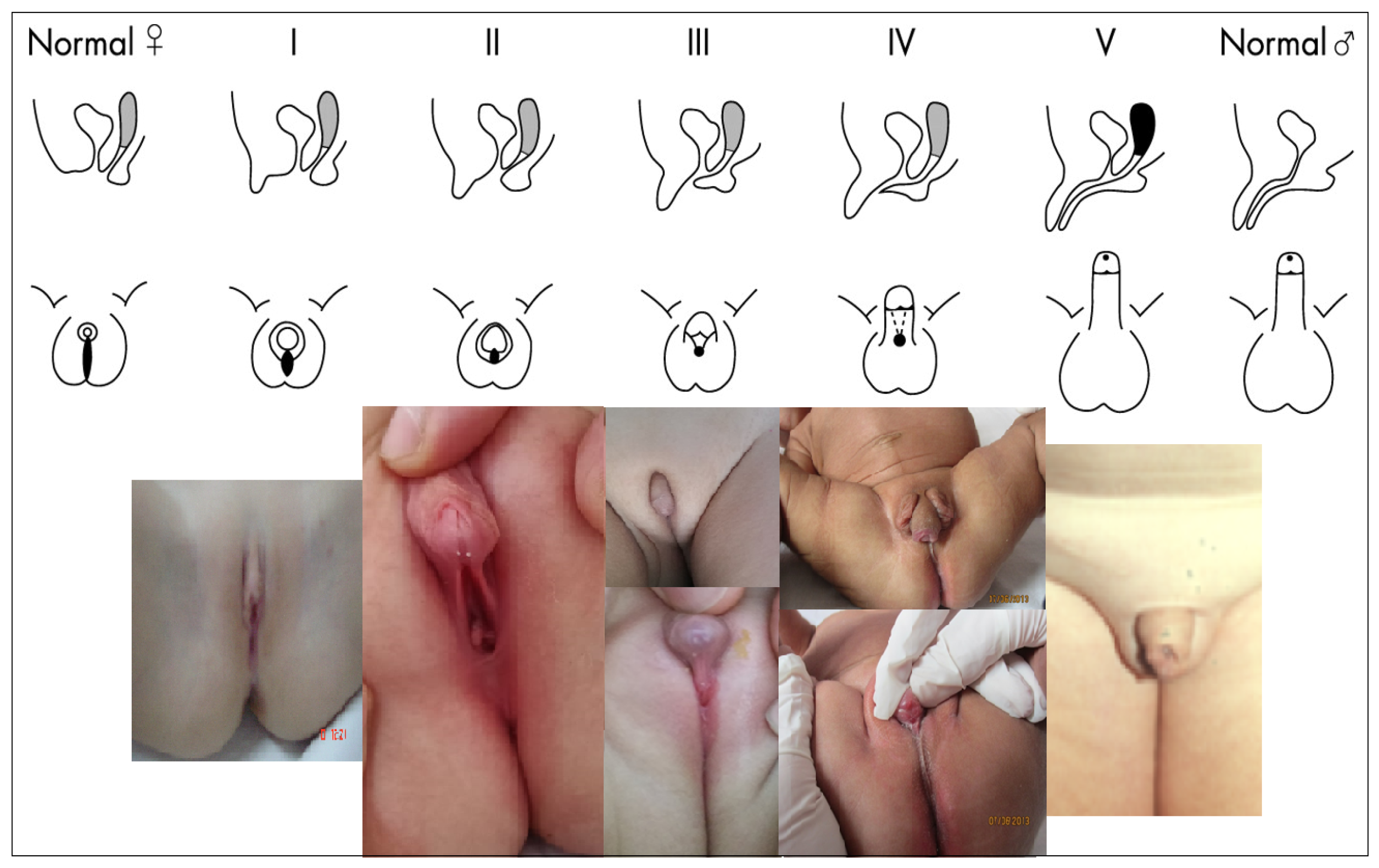 Diagnostics 11 01379 g007 Diagnostics 11 01379 g007