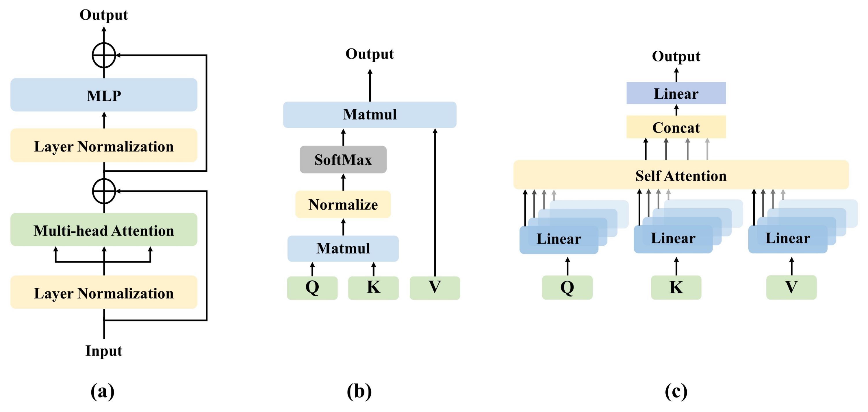 Diagnostics 11 01384 g003 550