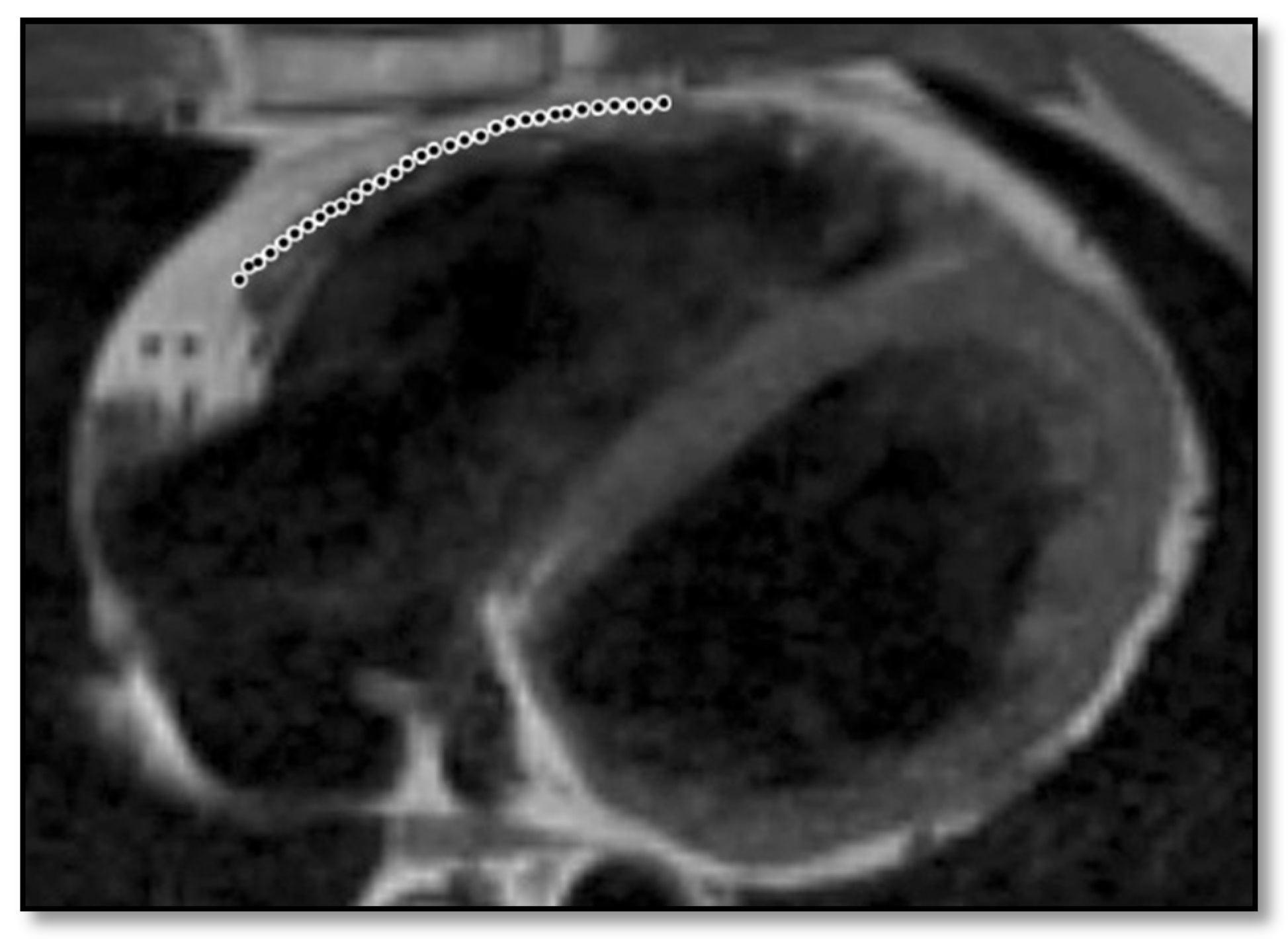 Diagnostics 11 01388 g006