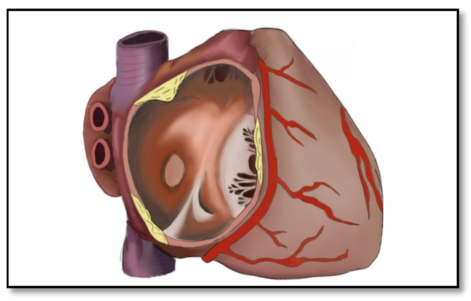 Diagnostics 11 01388 g008