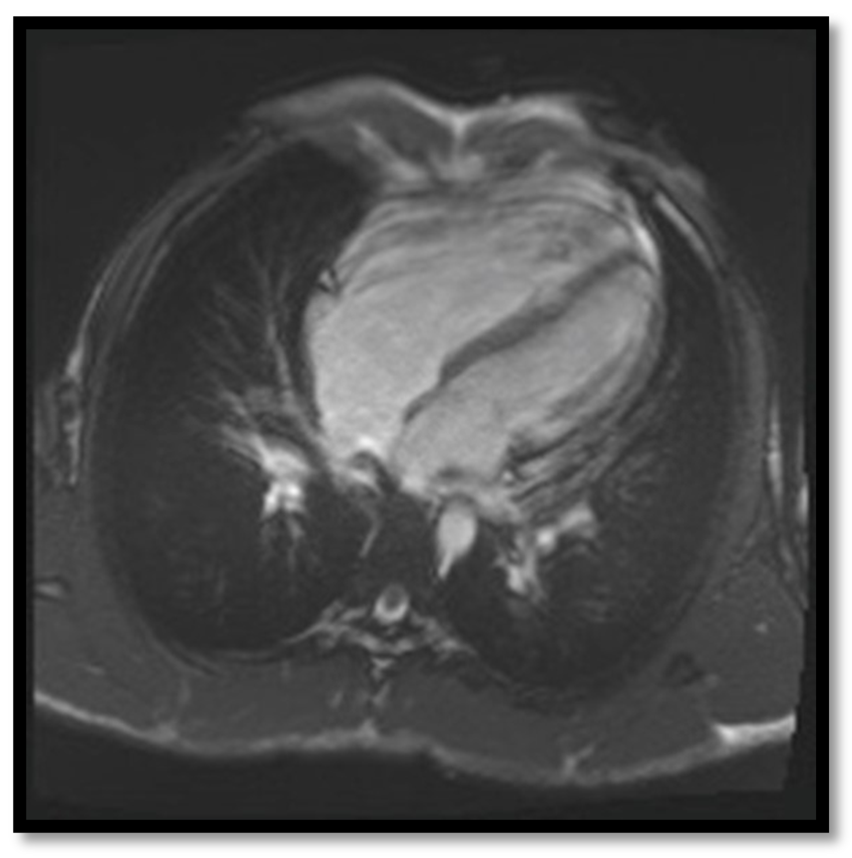 Diagnostics 11 01388 g009