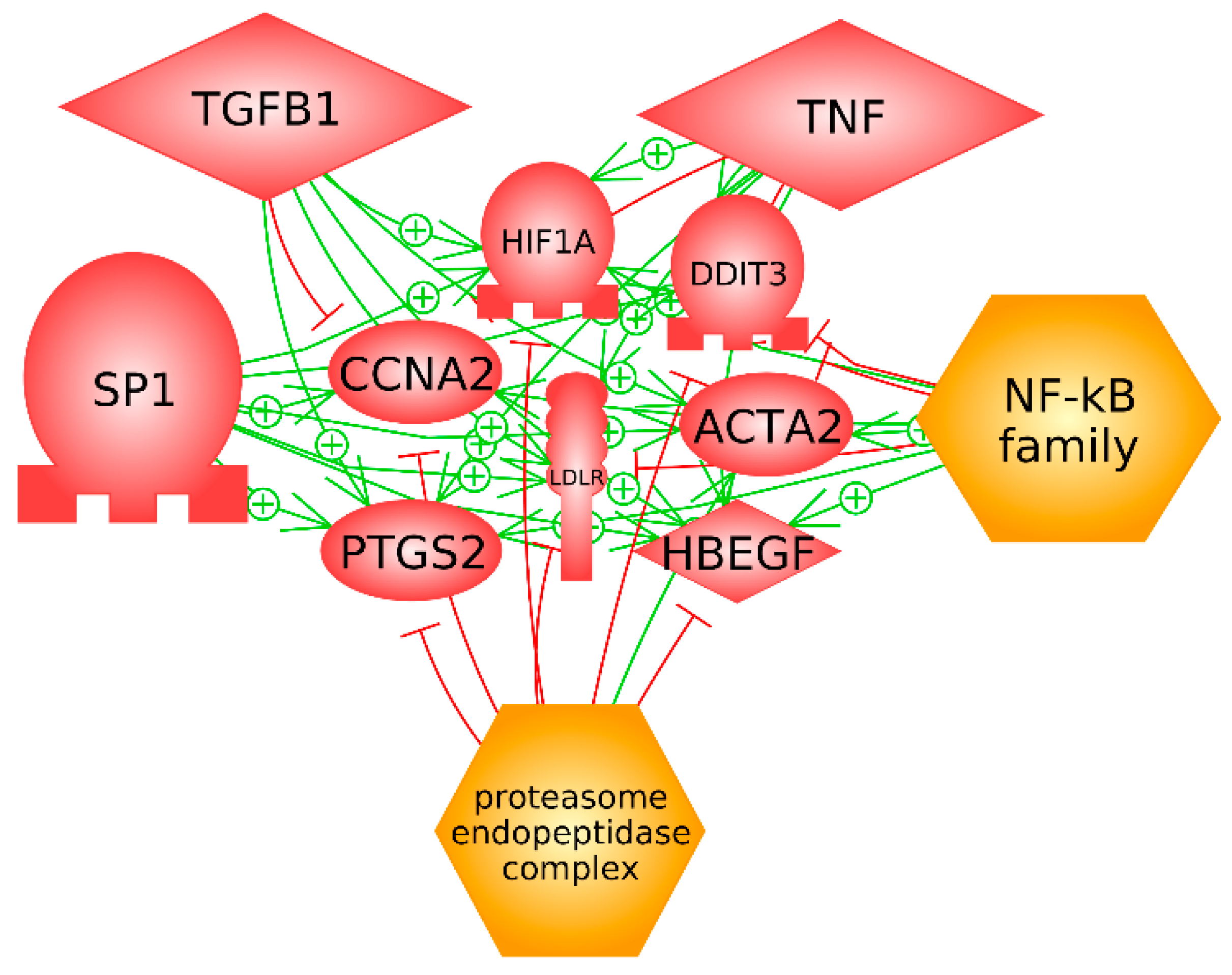 Diagnostics 11 01389 g003