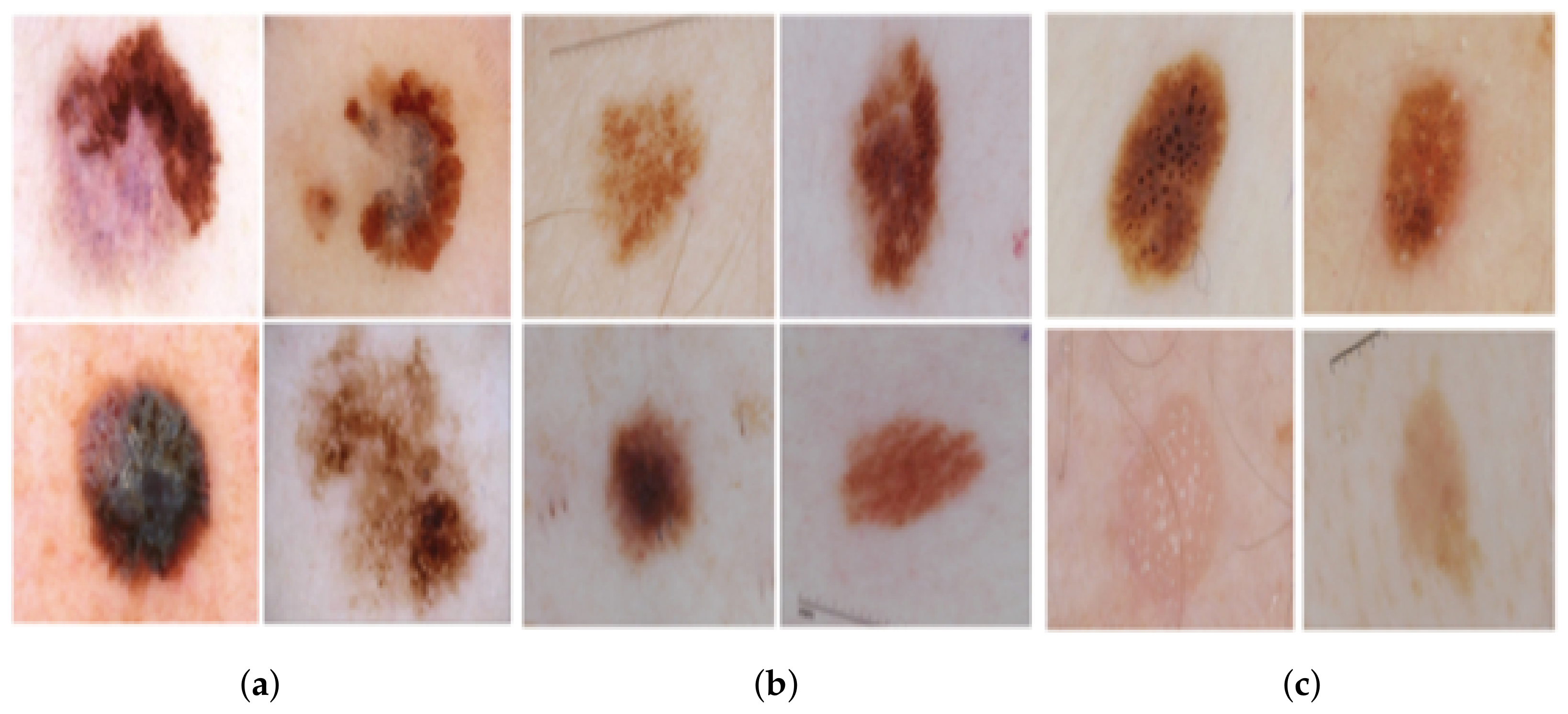 Diagnostics 11 01390 g004 Diagnostics 11 01390 g004