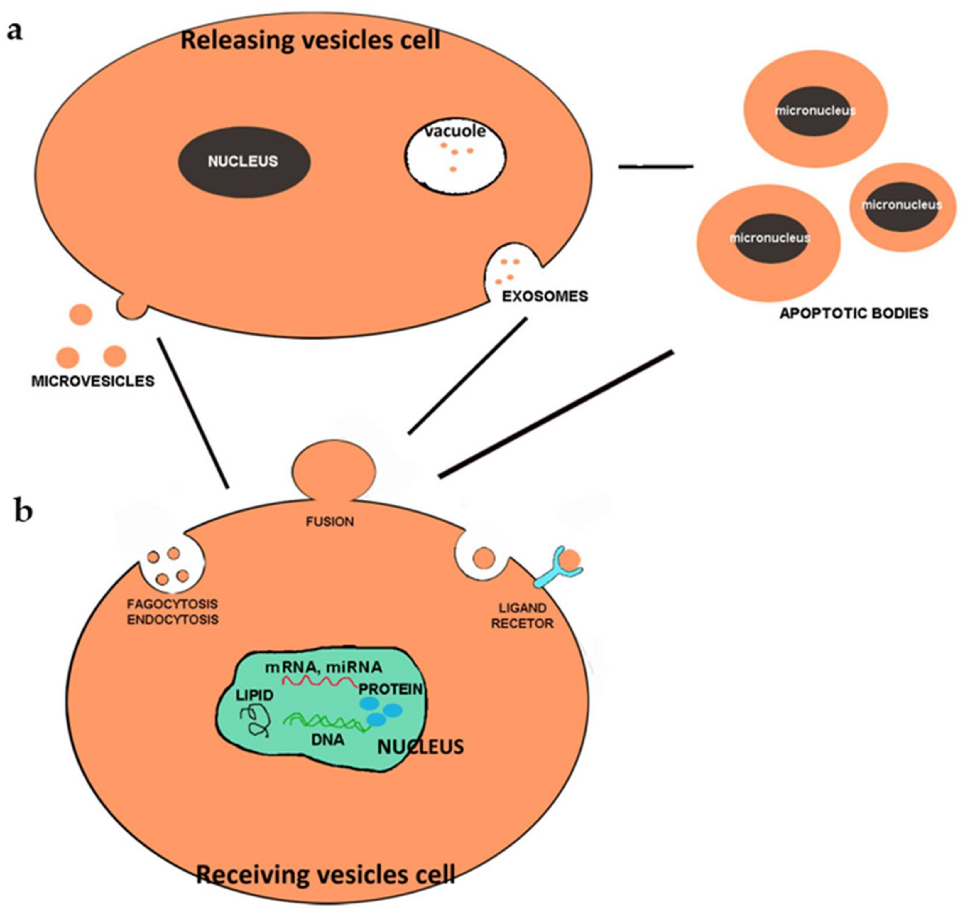 Diagnostics 11 01391 g001