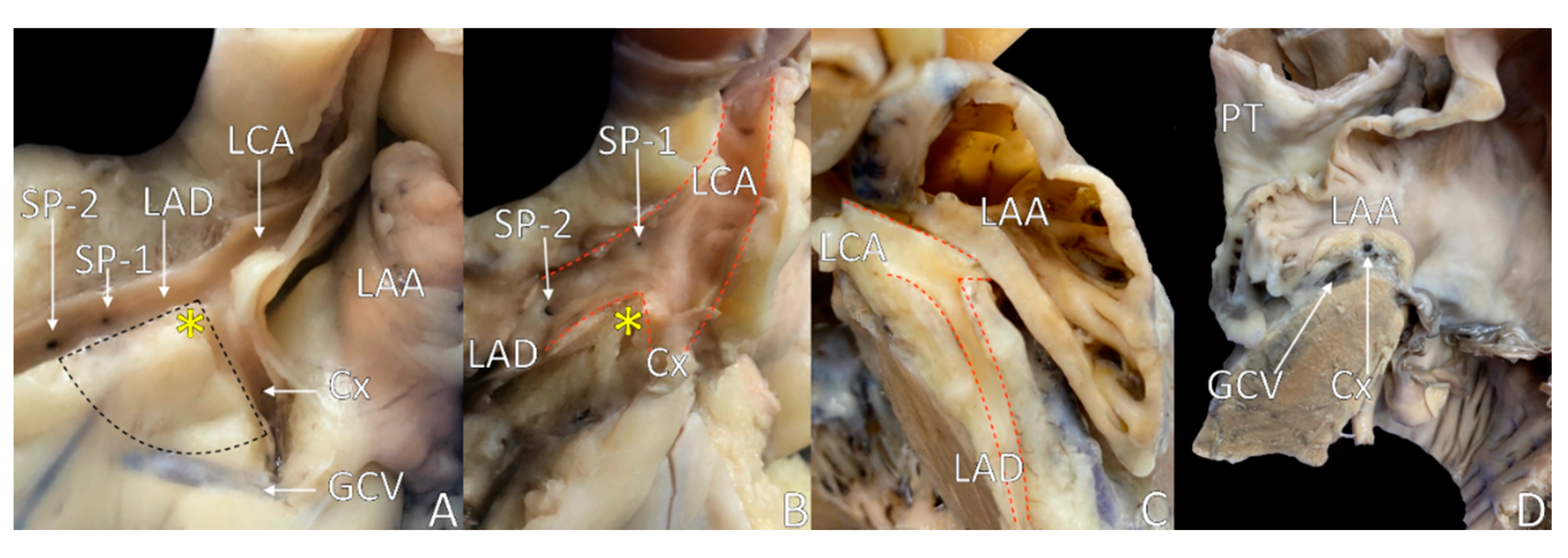 Diagnostics 11 01423 g003 Diagnostics 11 01423 g003
