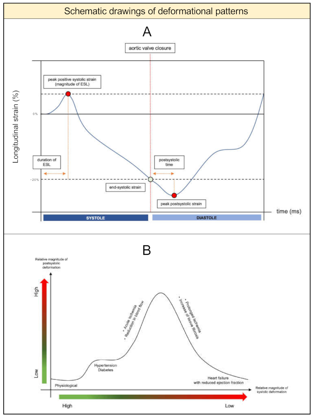 Diagnostics 11 01428 g001