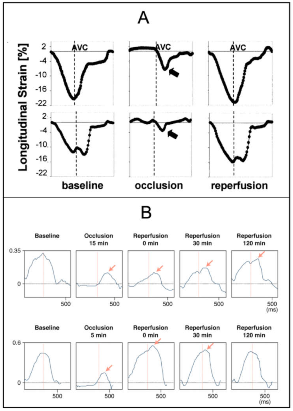 Diagnostics 11 01428 g003
