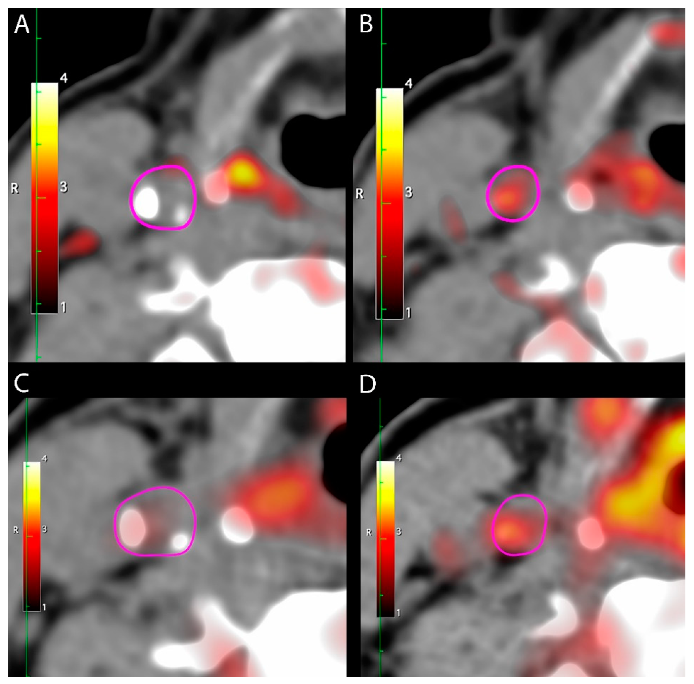 Diagnostics 11 01431 g001