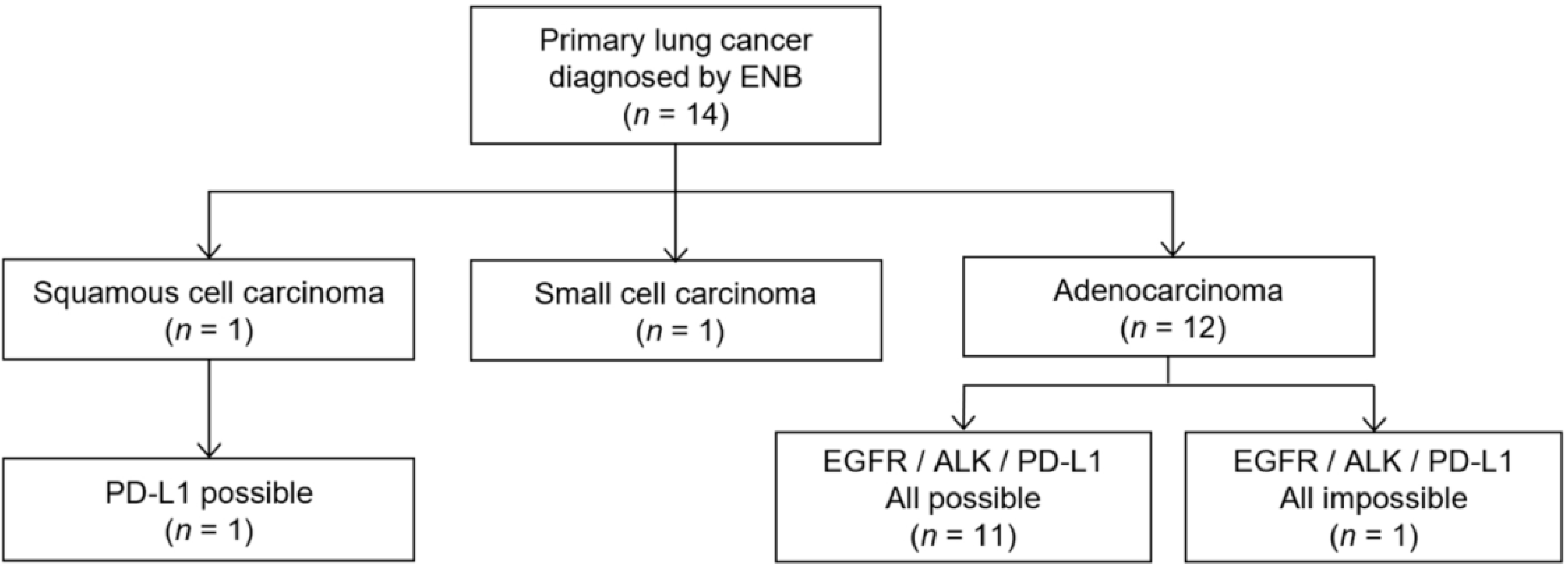 Diagnostics 11 01432 g002 Diagnostics 11 01432 g002