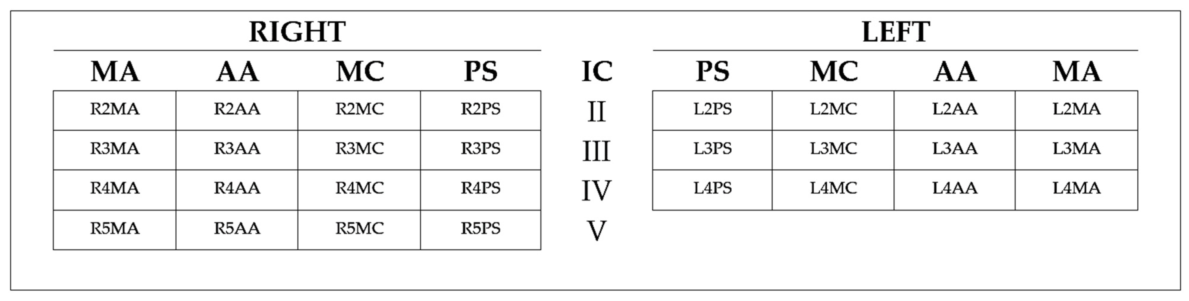 Diagnostics 11 01444 g001 Diagnostics 11 01444 g001