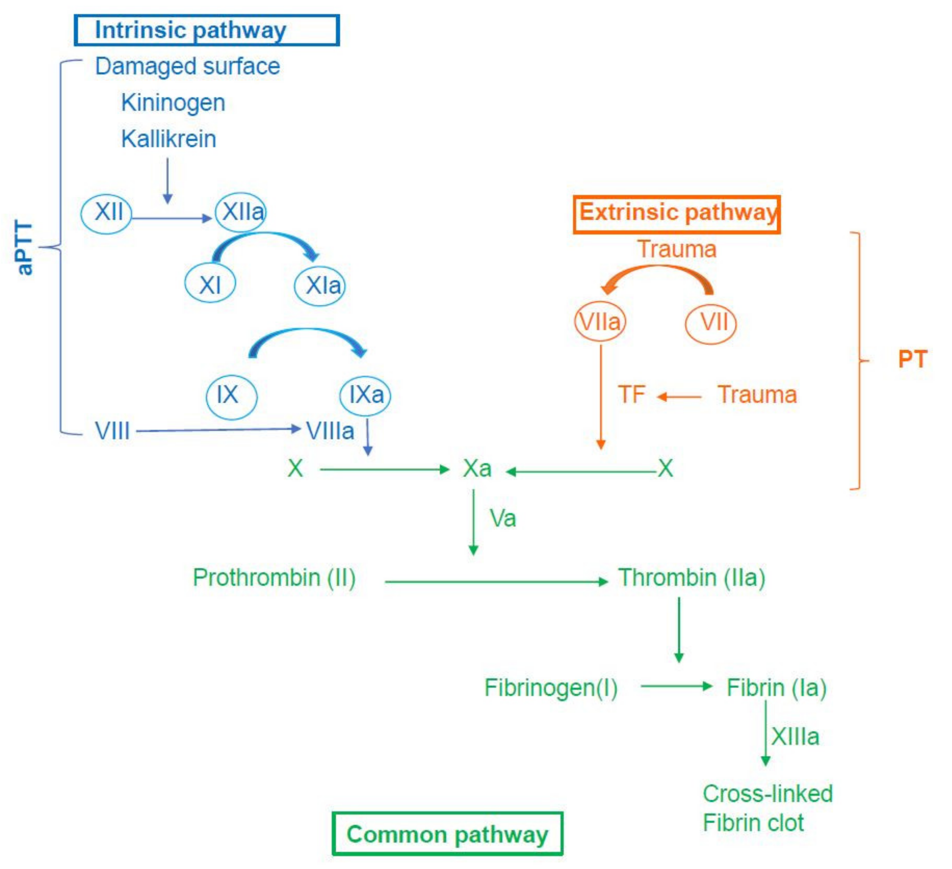 Diagnostics 11 01447 g001