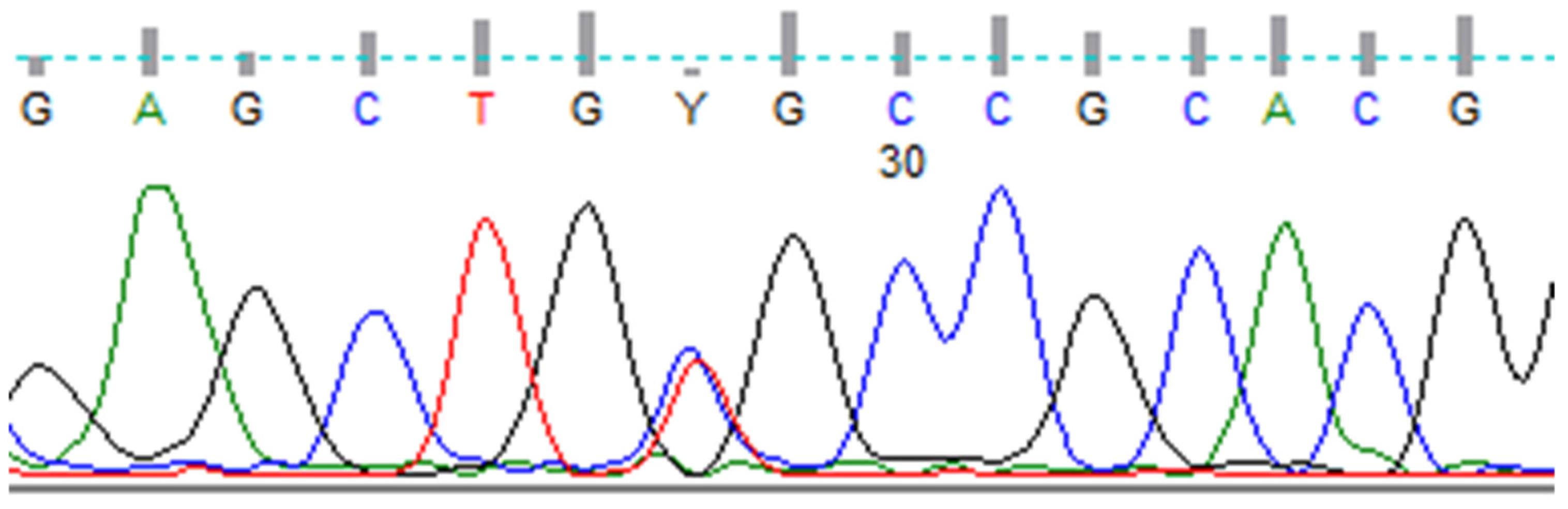 Diagnostics 11 01448 g001