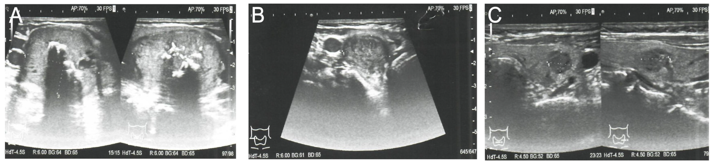 Diagnostics 11 01448 g002