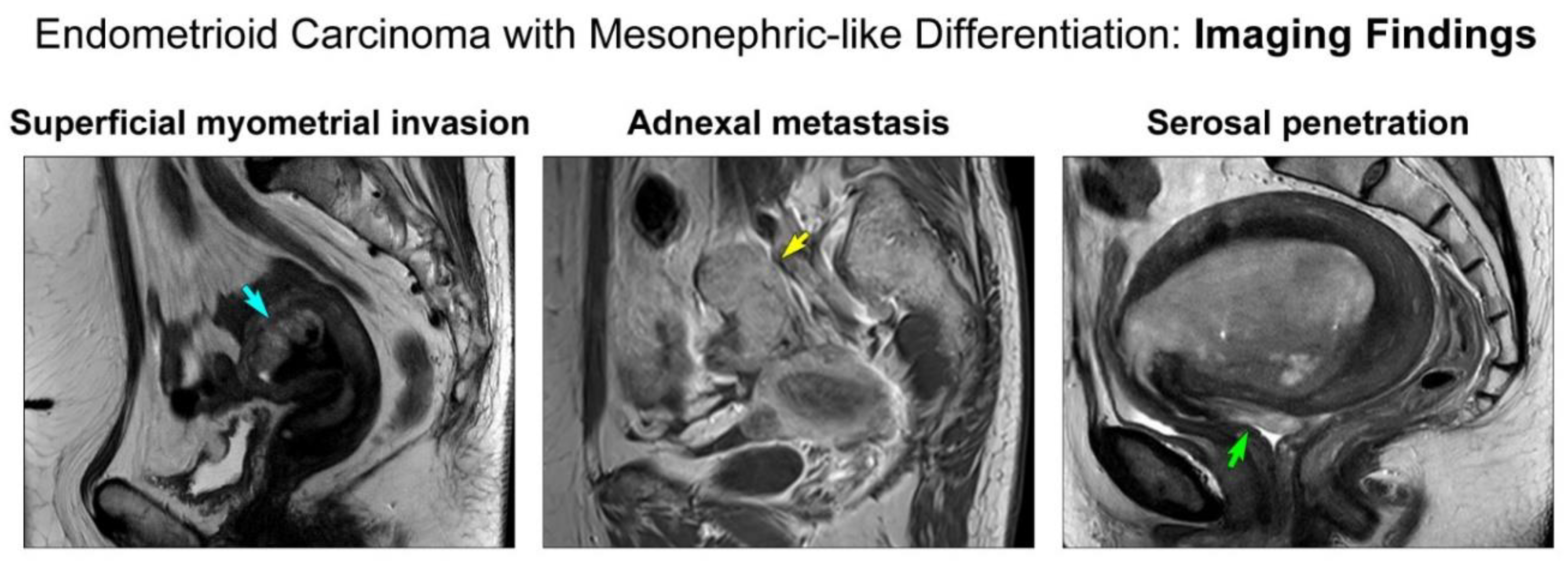 Diagnostics 11 01450 g001