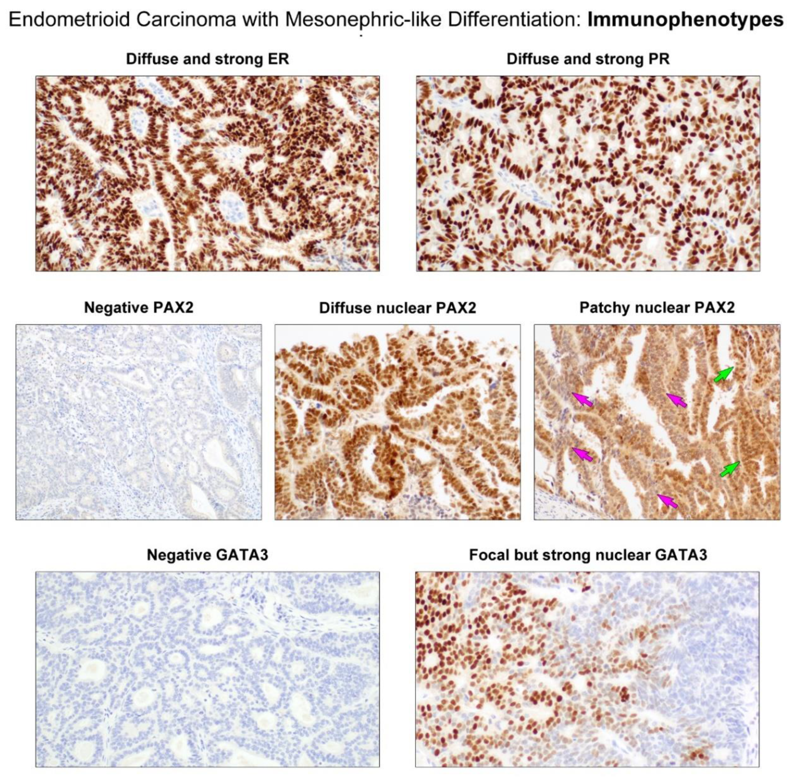 Diagnostics 11 01450 g004
