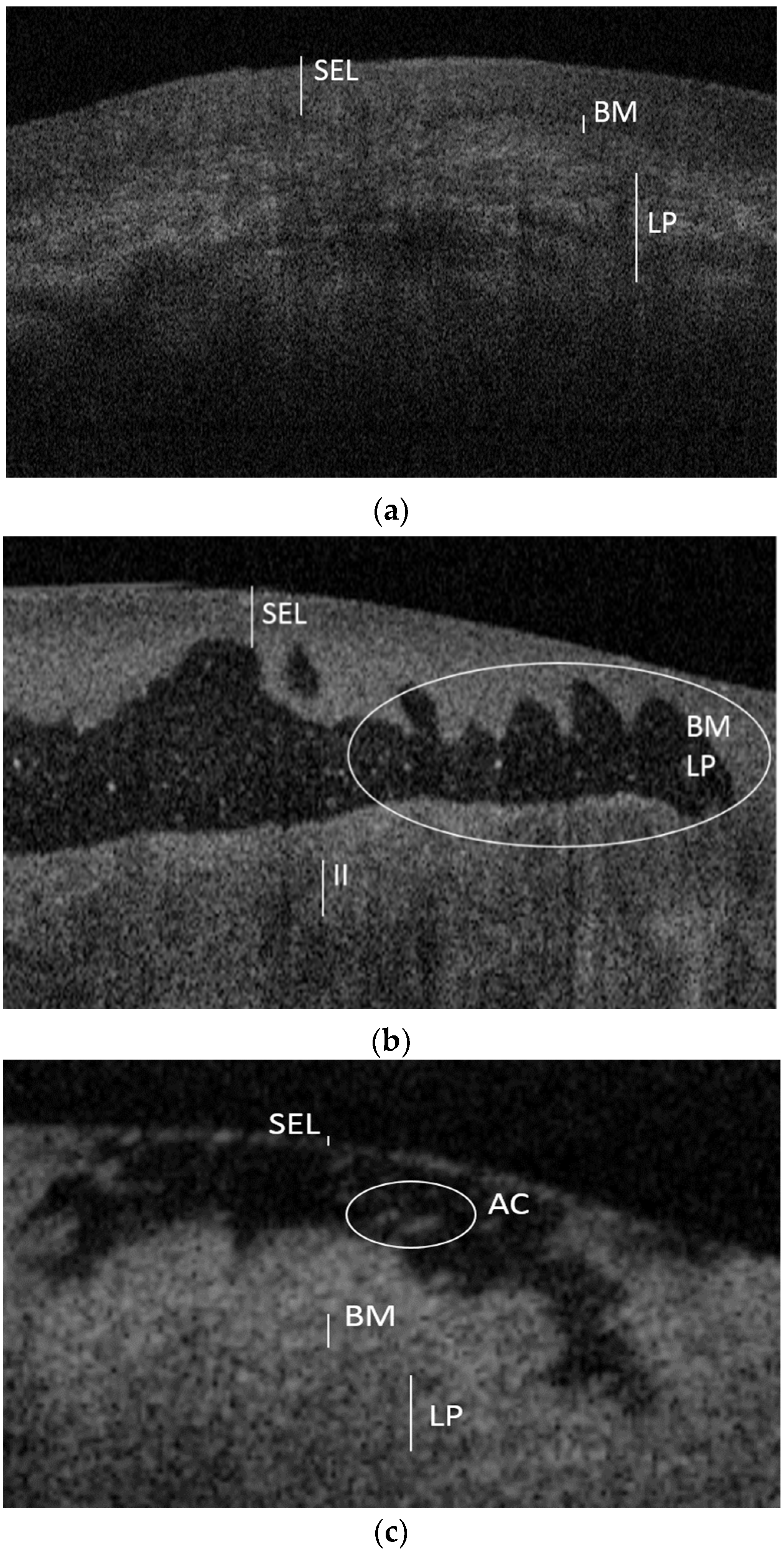 Diagnostics 11 01453 g002