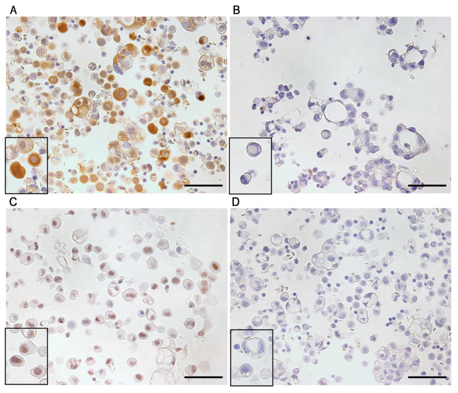 Diagnostics 11 01463 g001