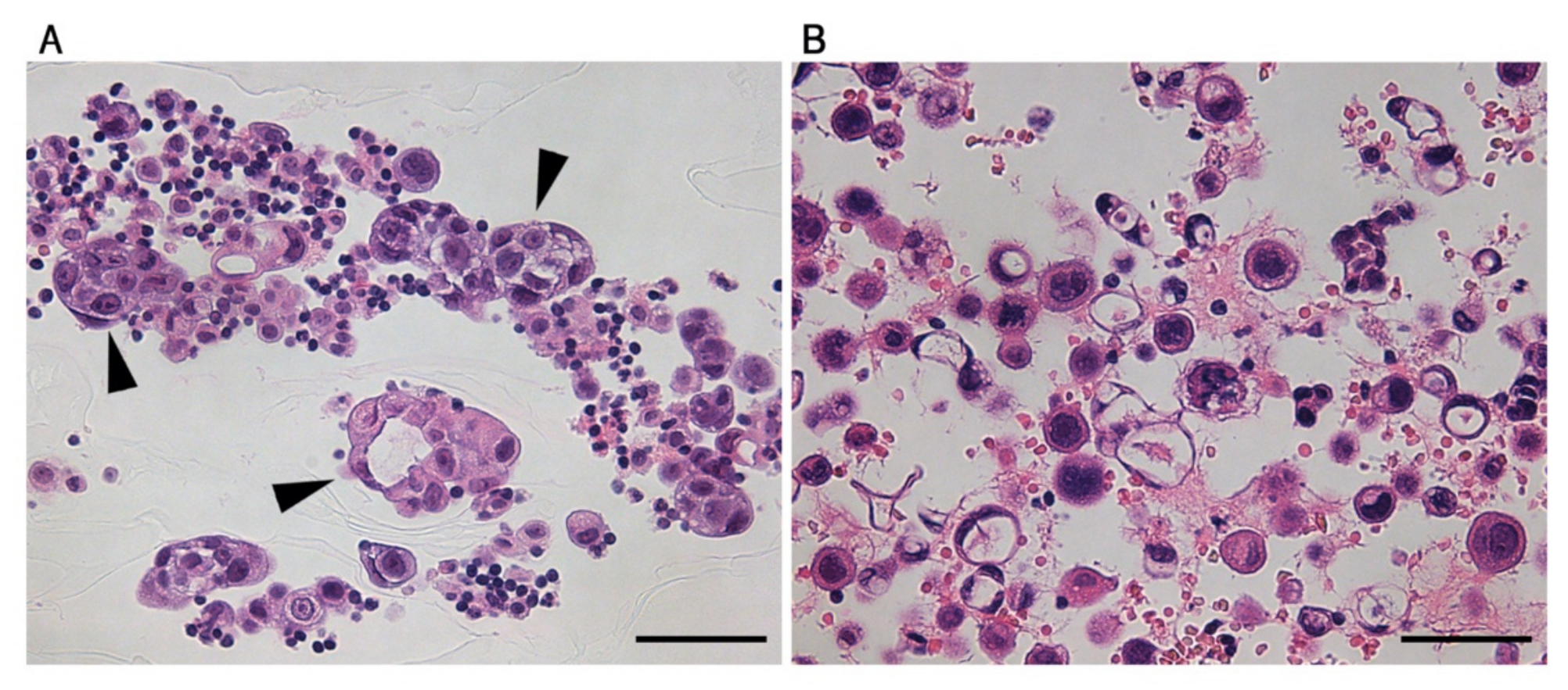 Diagnostics 11 01463 g003