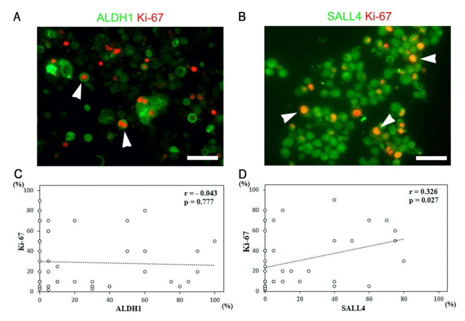 Diagnostics 11 01463 g005
