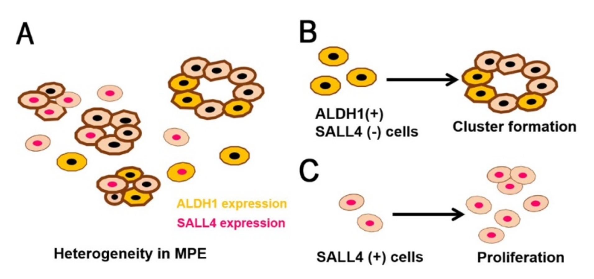 Diagnostics 11 01463 g006