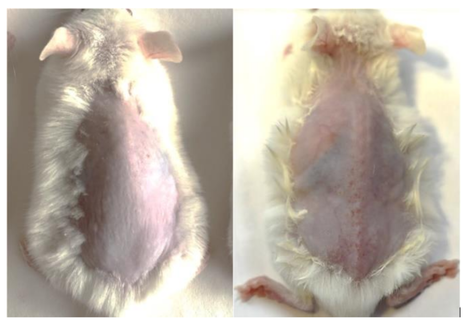 Diagnostics 11 01464 g001 550