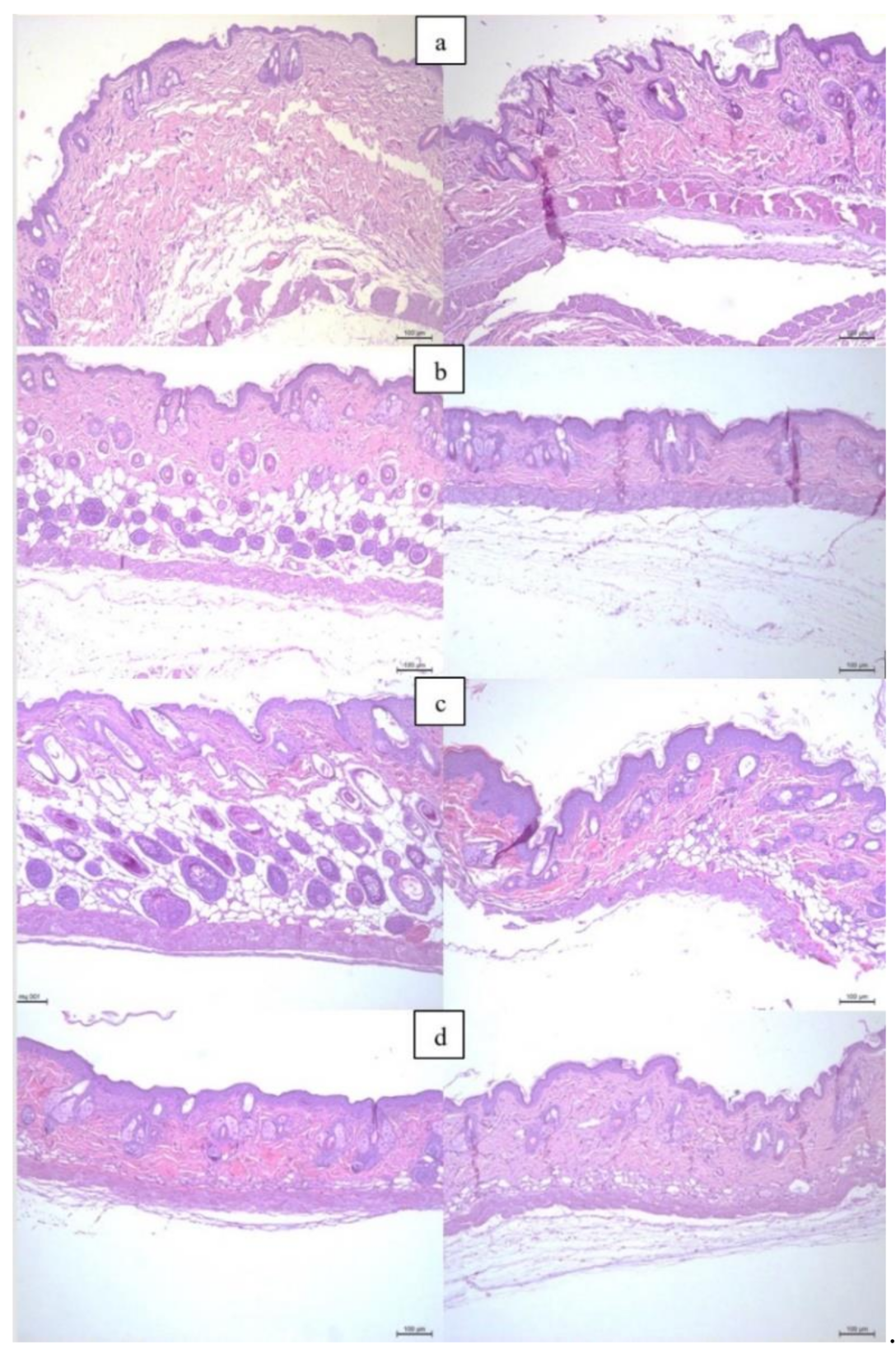 Diagnostics 11 01464 g002 550