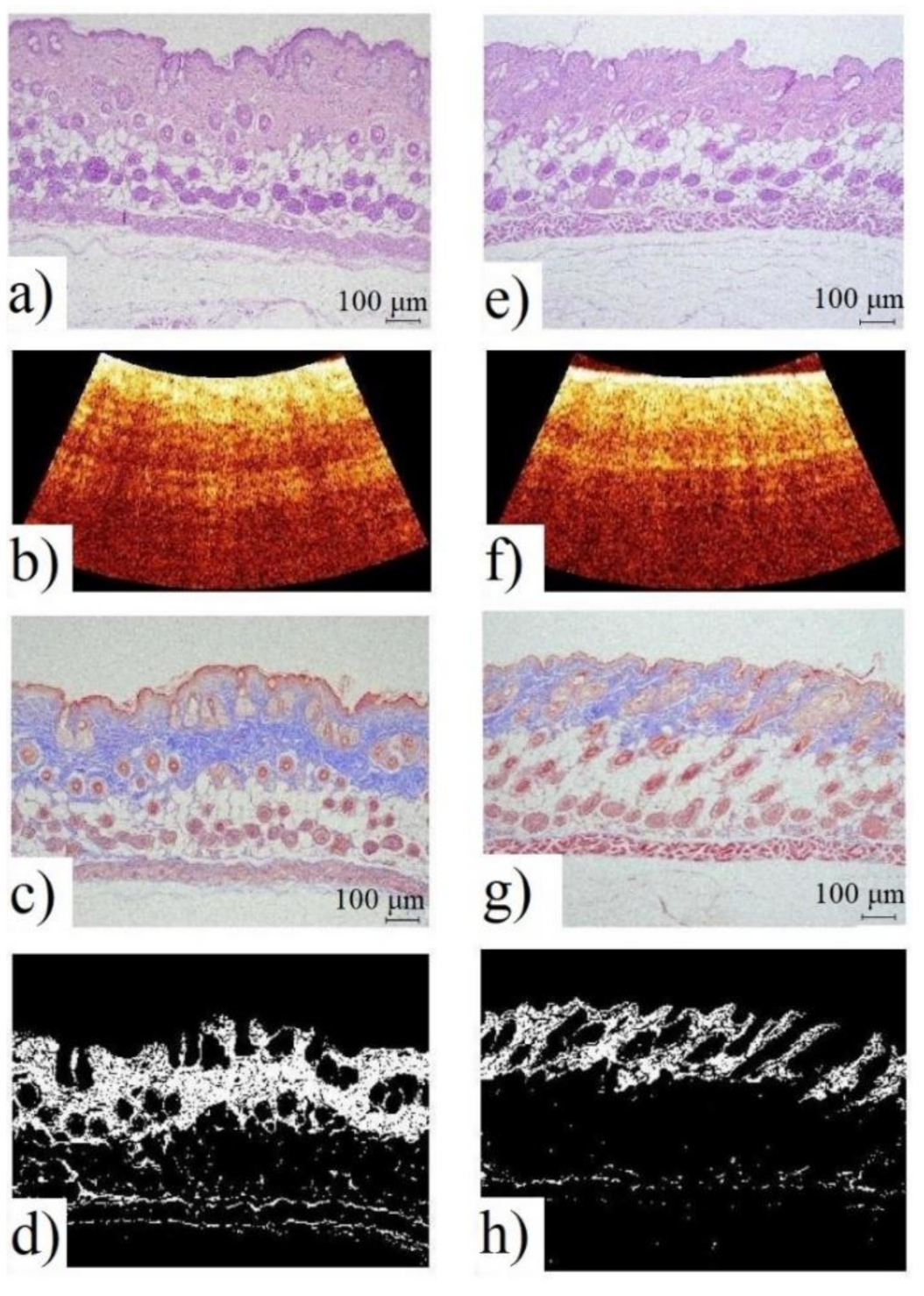 Diagnostics 11 01464 g004 550