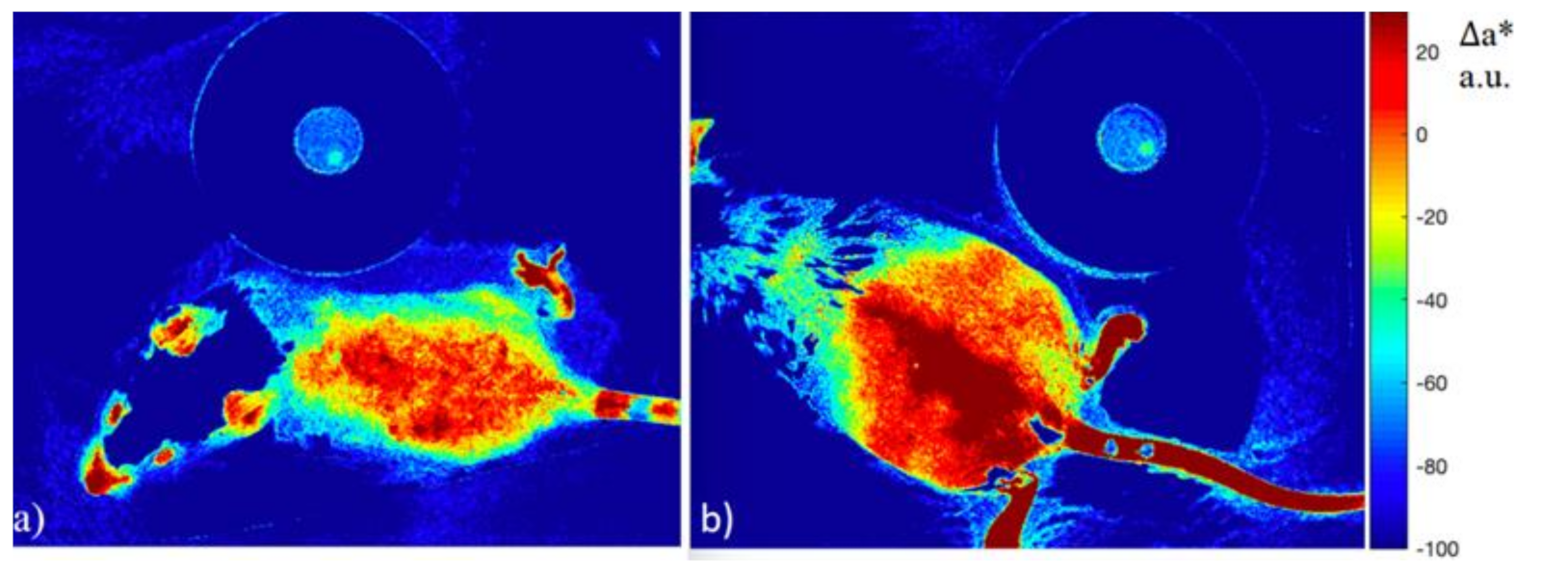 Diagnostics 11 01464 g006 550