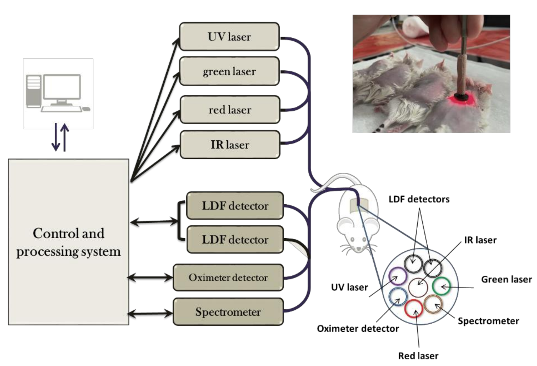 Diagnostics 11 01464 g0a2 550