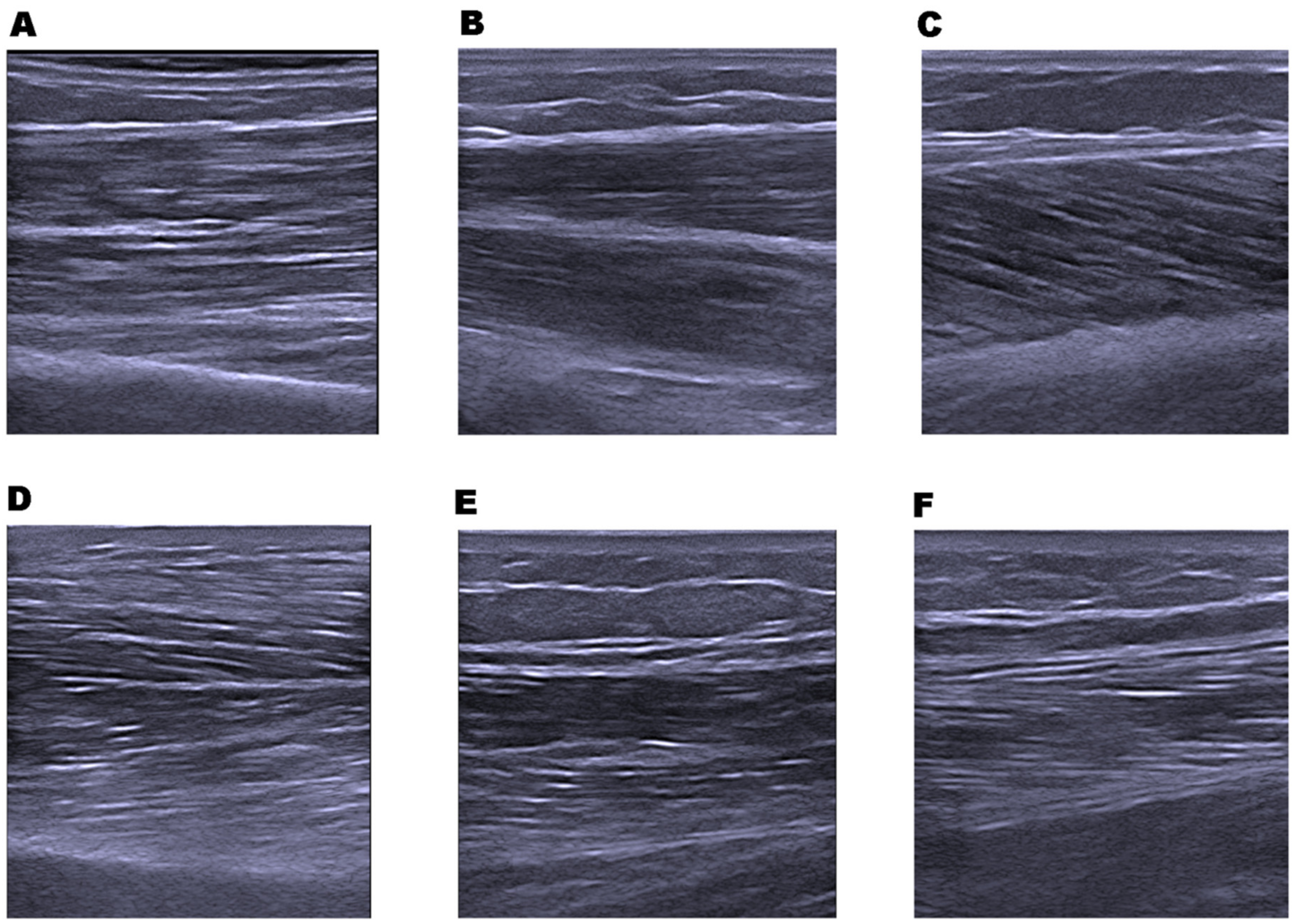 Diagnostics 11 01471 g001 550