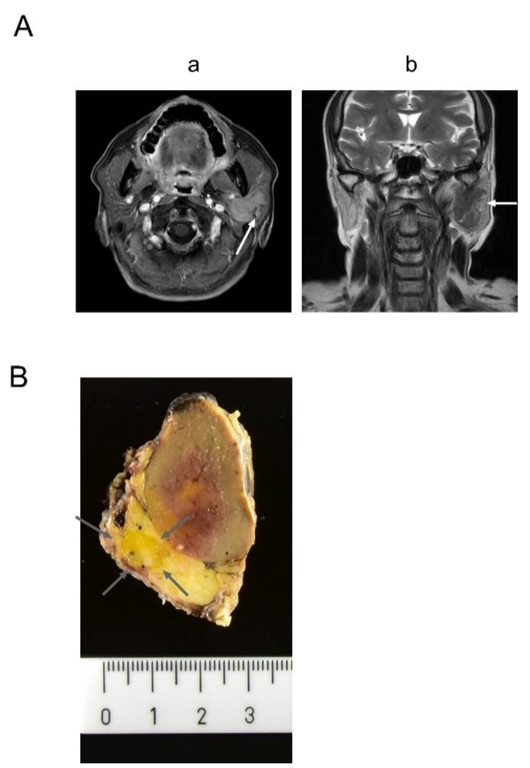Diagnostics 11 01478 g001